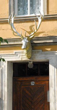 Schloss Oranienbaum © F. Marcotty